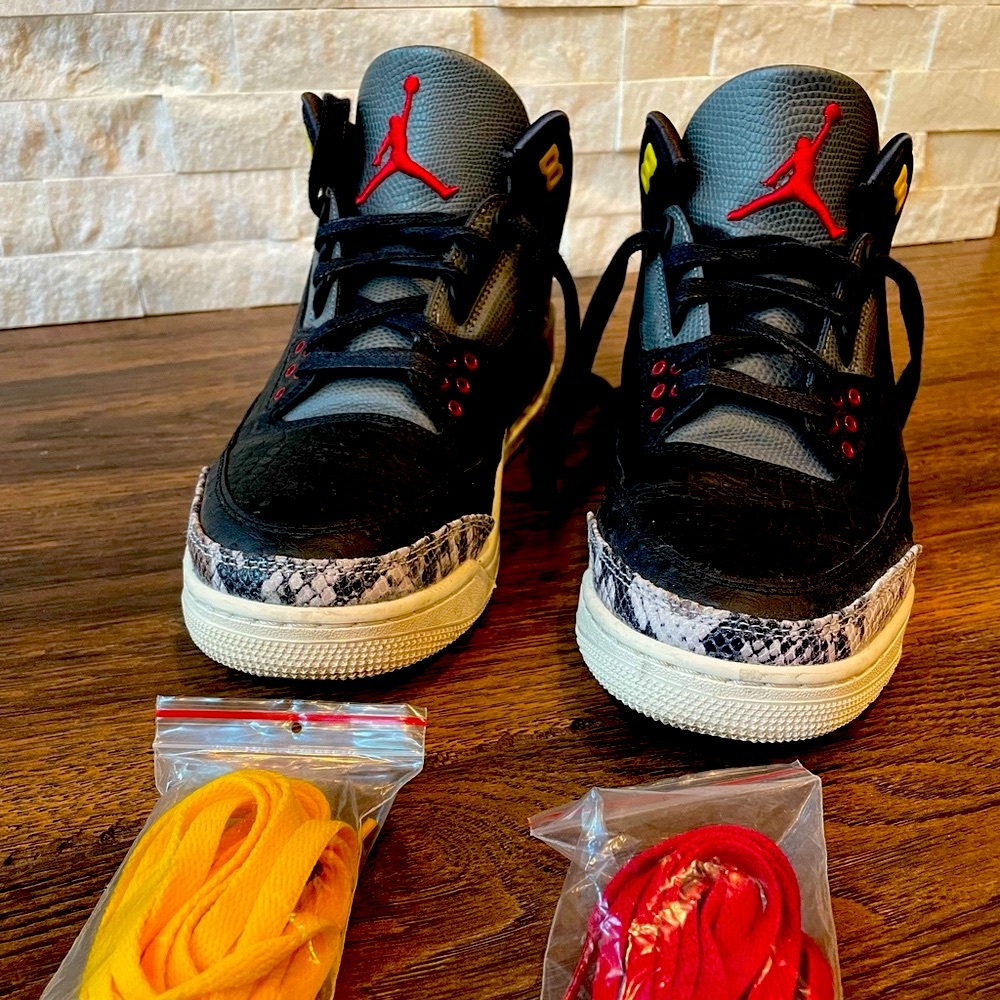 Jordan 3 Retro SE - Animal Instinct 2.0
